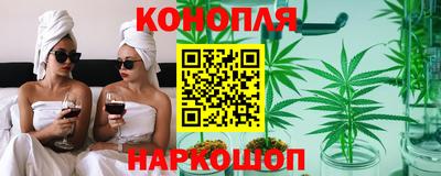 крисы Апшеронск
