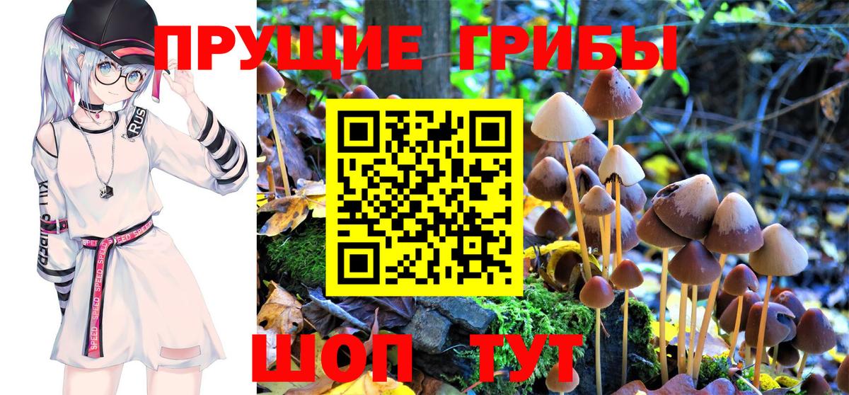 Псилоцибиновые грибы Magic Shrooms Белая Калитва