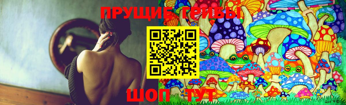 Галлюциногенные грибы Psilocybine cubensis  Вход с VPN  Белая Калитва 